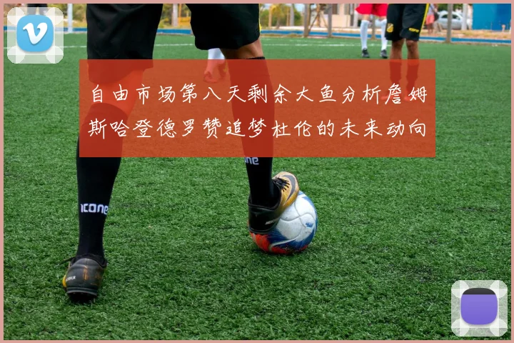 自由市场第八天剩余大鱼分析詹姆斯哈登德罗赞追梦杜伦的未来动向